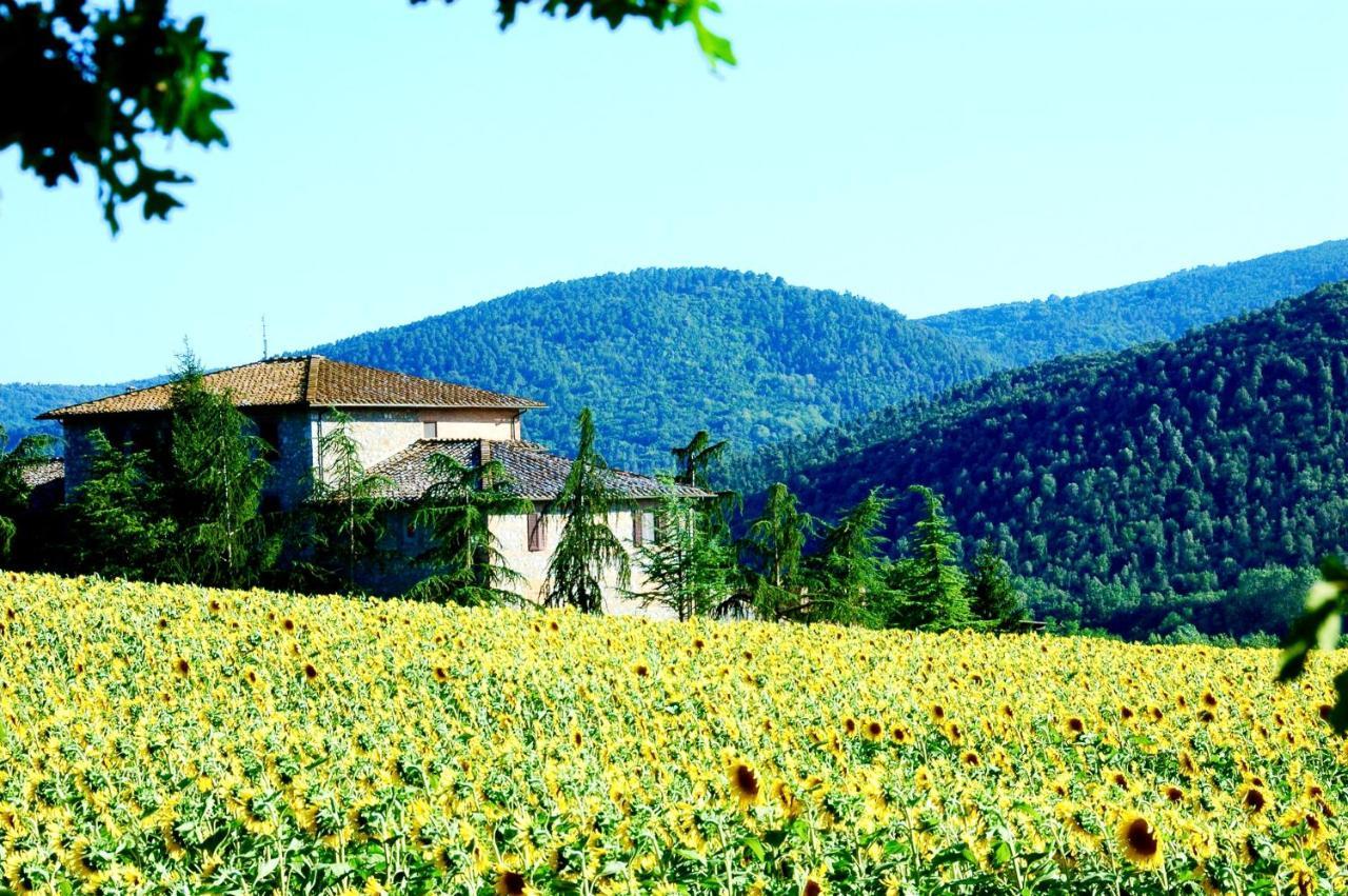 Agriturismo Montioni 索维奇勒 外观 照片