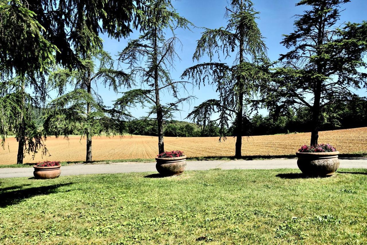 Agriturismo Montioni 索维奇勒 外观 照片