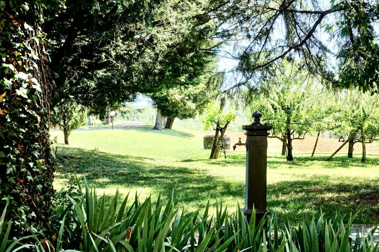 Agriturismo Montioni 索维奇勒 外观 照片
